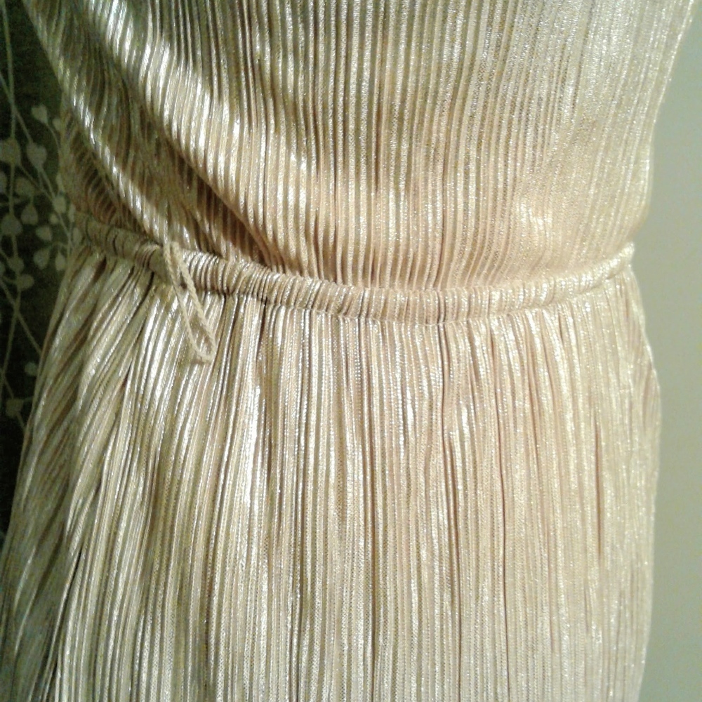 Shiny Express Dress - Picture 5 of 8